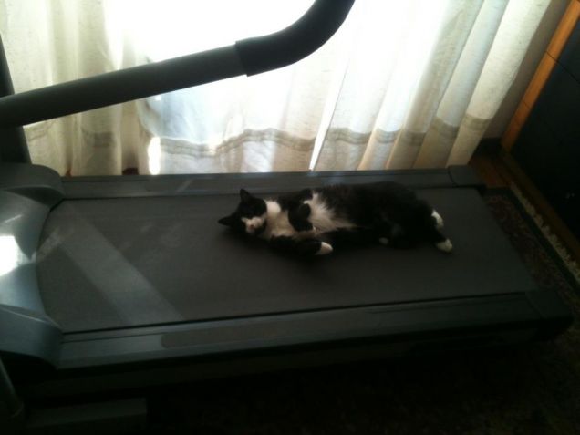 facciamo un po' d'esercizio va!