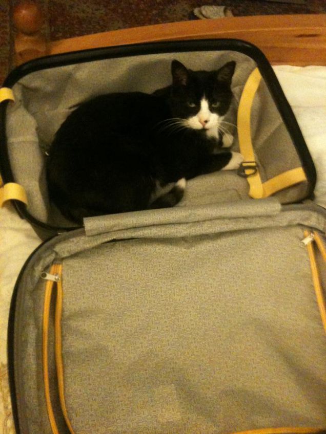 hai detto che portavi anche me!