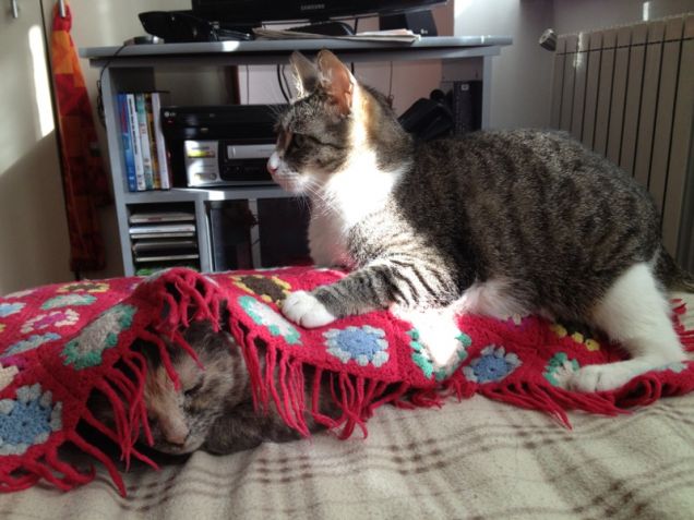 non credevo ci fosse qualcuno qui sotto!