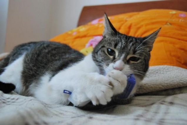 distruzione dei fazzoletti:mode on