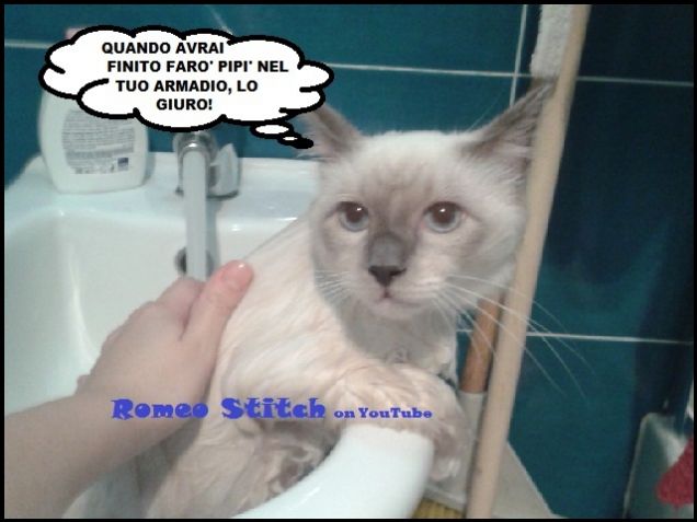 Romeo Stitch medita vendetta!