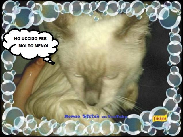 Romeo Stitch medita vendetta!