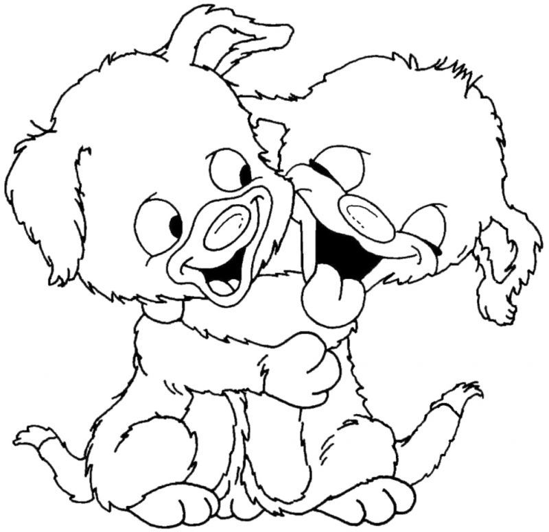 Cerco cucciola di piccola taglia