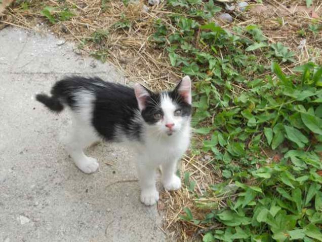 Il piccolo Rudy in attesa