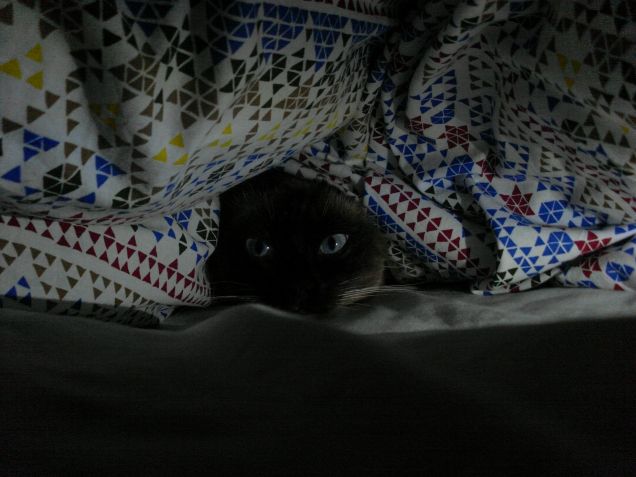 Carmelina la coccolona