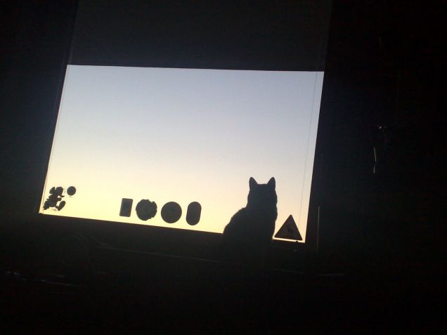 silhouette mattutina