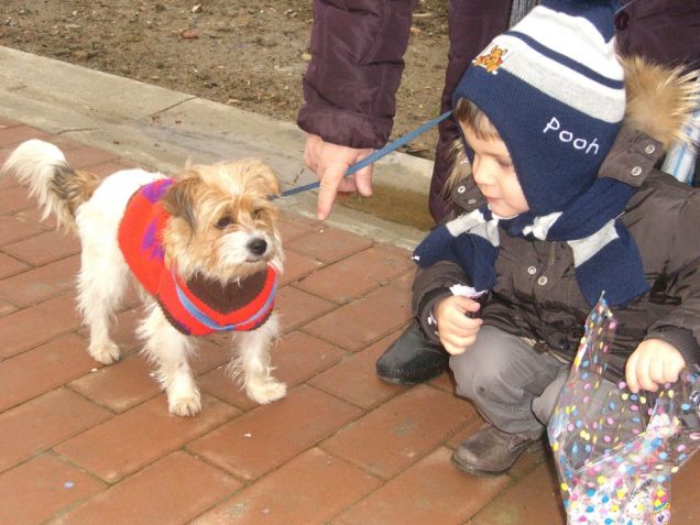 festeggiamo insiema il carnevale