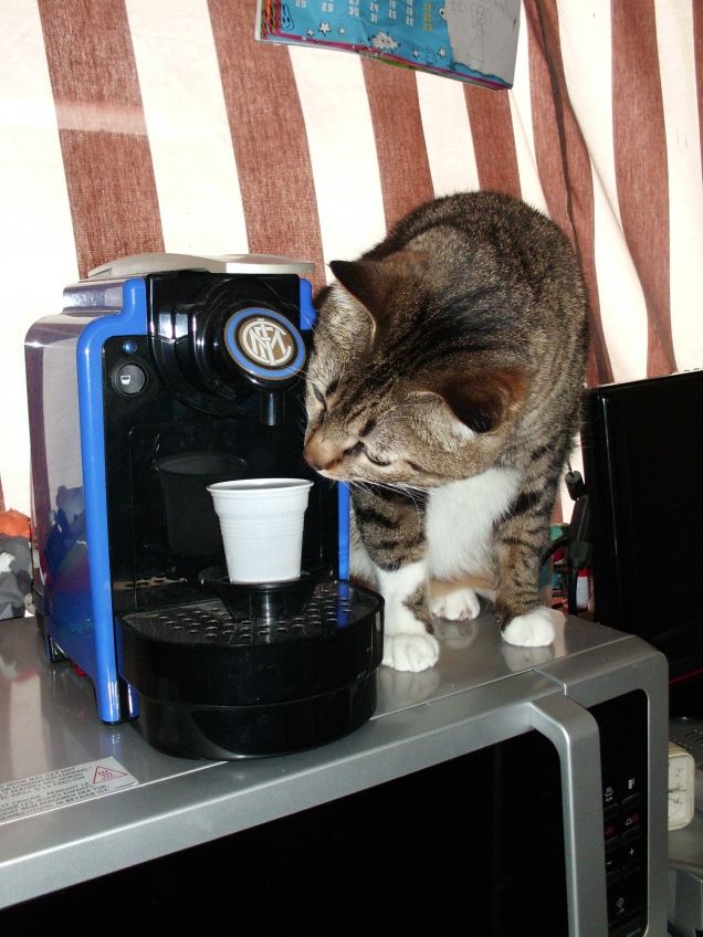 Dopo una dolce nannina ci va un caffè