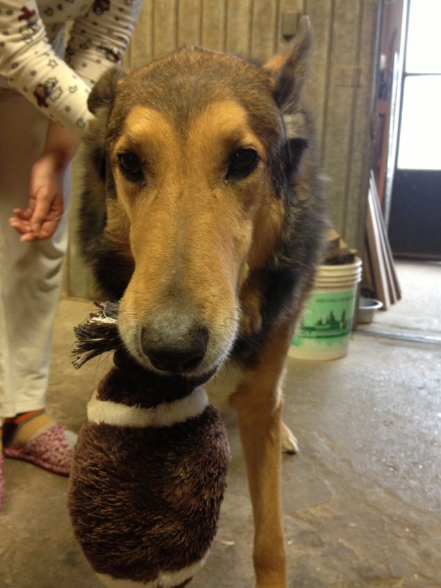 Il regalo del mio compleanno!