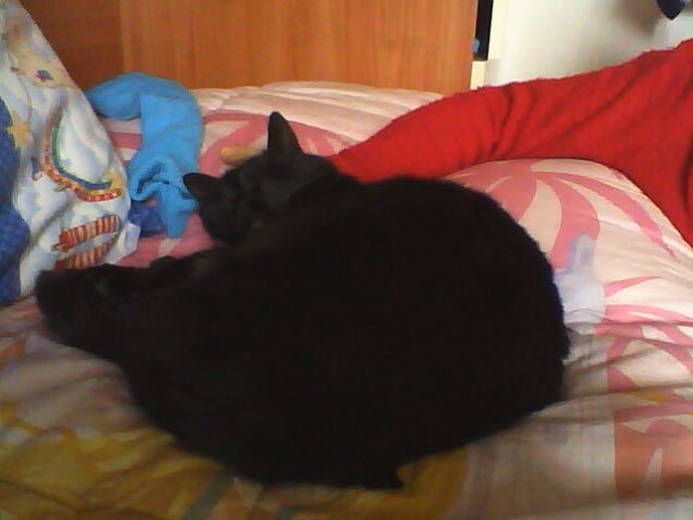 Ecco Luci,il mio angelo custode tutto sonno...