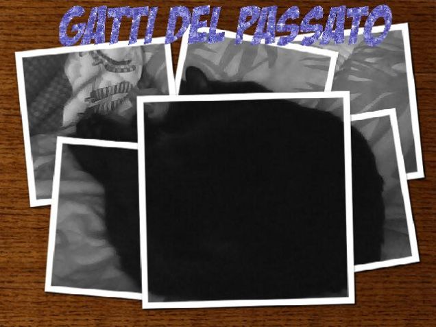 Gatta del passato...
