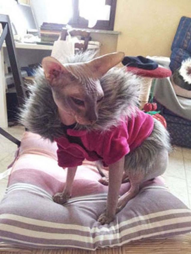 Bruno e il suo nuovo.... Pelo!