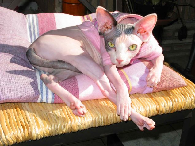 Penny prende il sole....