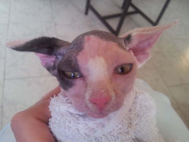 Penny e il primo bagnetto!