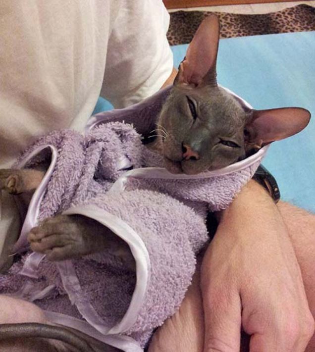 Bruno in accappatoio!