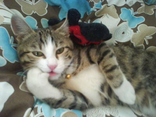 L'ora della manicure