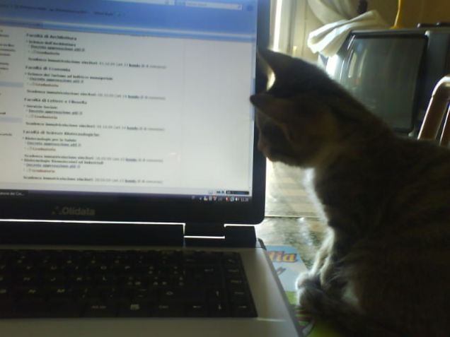 Chatto un pò con le mie amicie