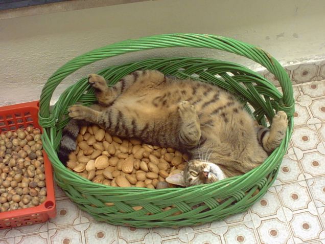 Massaggio alla schiena....