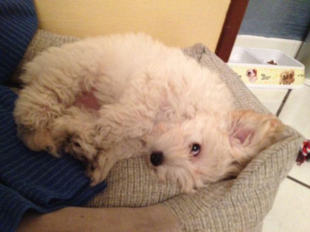 mi piace dormire così