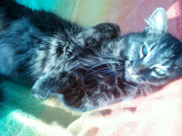 Lea prende il sole! :)