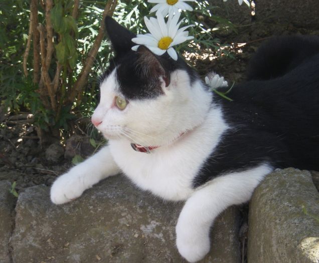 Duca nel paese delle meraviglie!!! 