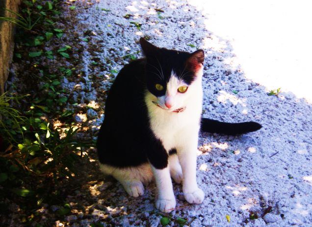 Che penserà!? mhh...forse .... hai  debiti!!!??? :)