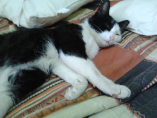 viva il letto!!!! ma che cesta!!!! :)