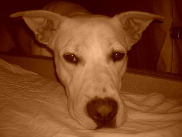 ..e daii fammè saliii !!!!