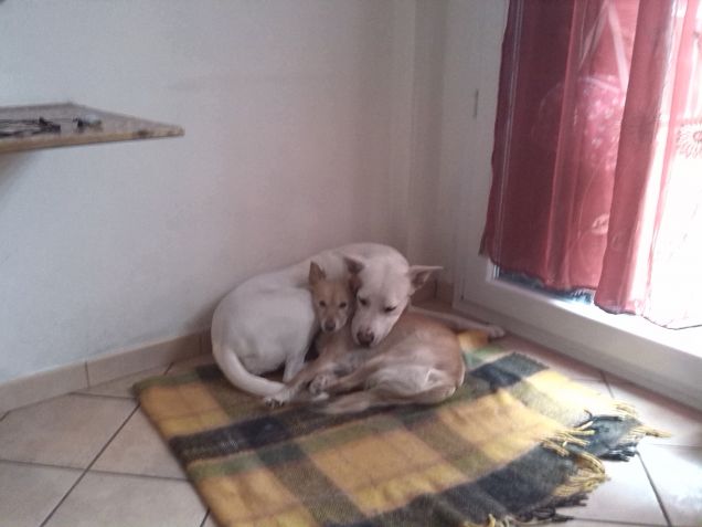 stiamo vicine vicine