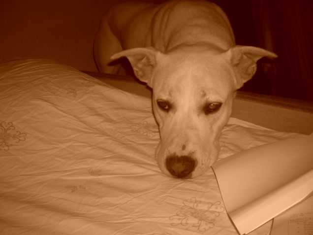 mi fai salire vero???