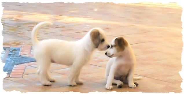 Dobbiamo stare vicini vicini!!!!