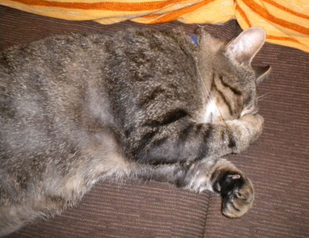 Vi prego, spegnete la luce!!!!