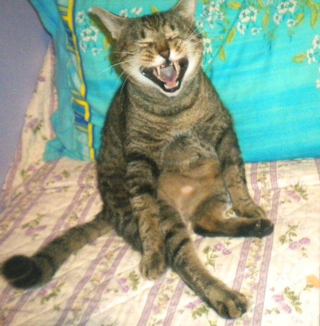 io intanto mi faccio una bella risata!