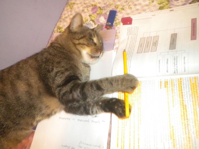 Quando arrivano le vacanze?