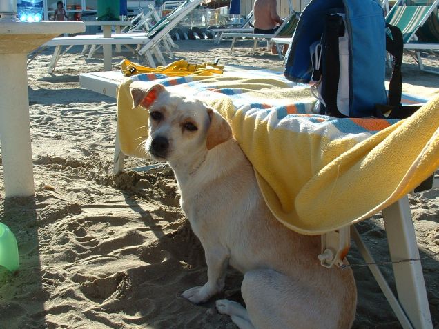 trilli in spiaggia