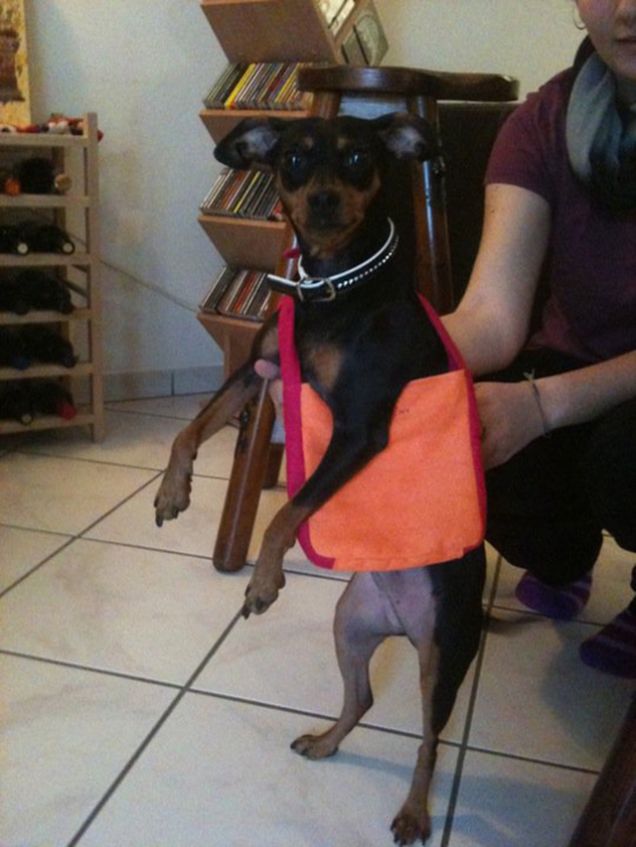 A volte mi tocca andare a fare la spesa :D