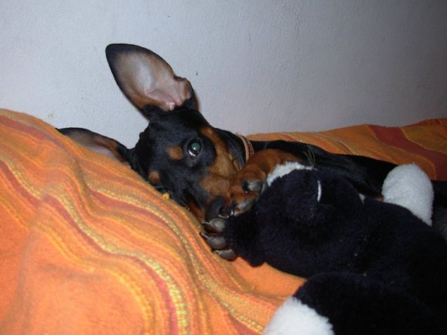 Sono una giocherellona :P