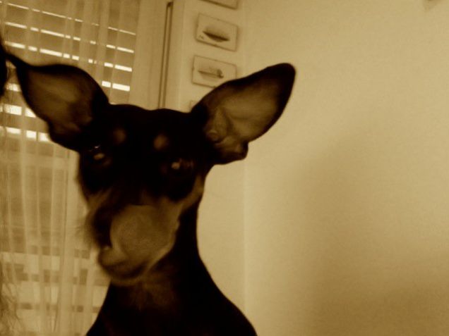 Anche io faccio le facciaccie :D