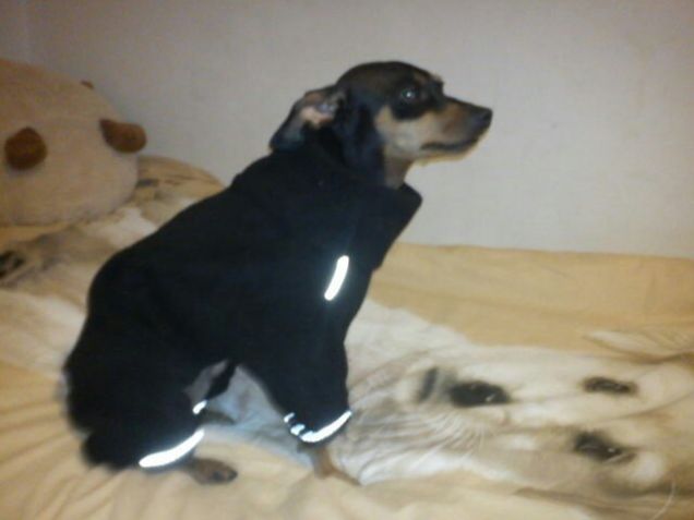 Non mi piace l'inverno perchè la mamma mi mette su queste strane cose :(