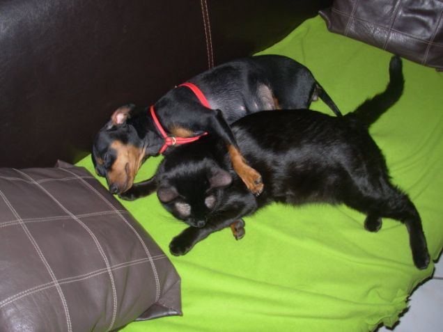 È l'ora delle coccoleeee :D