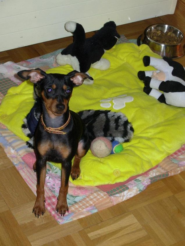 Appena arrivati a casa...