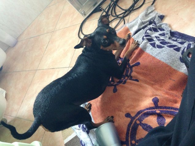 Le avventure di Amy e Fhon