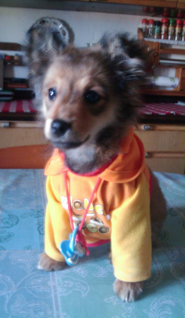 estate con il mio cucciolotto