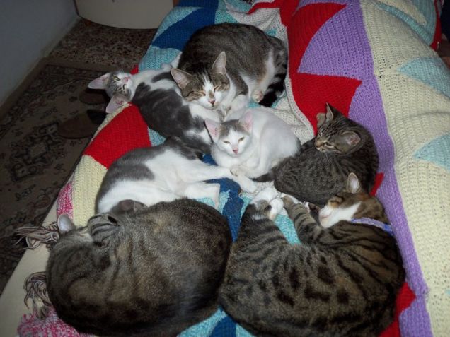 i miei amori..........