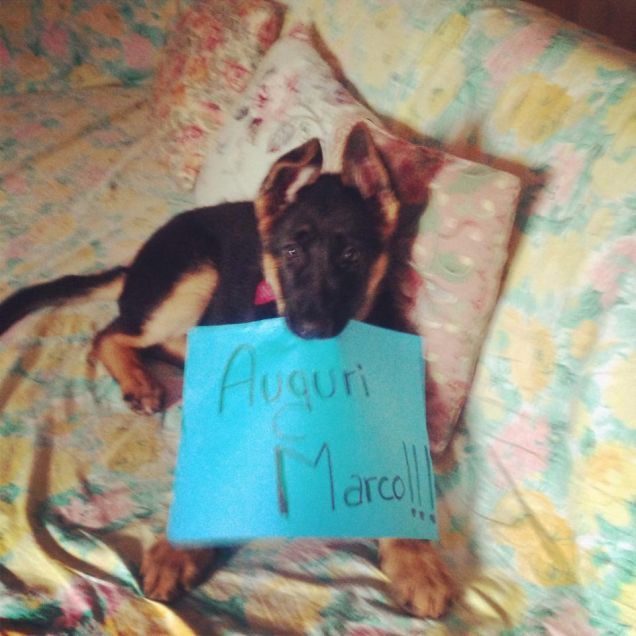 anche lei ci tiene a Marco