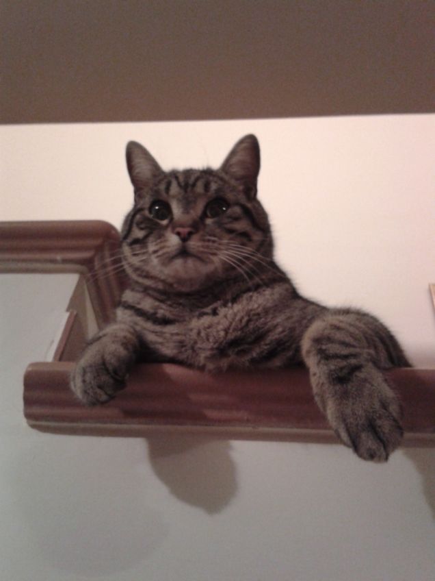 venite a giocare con me?