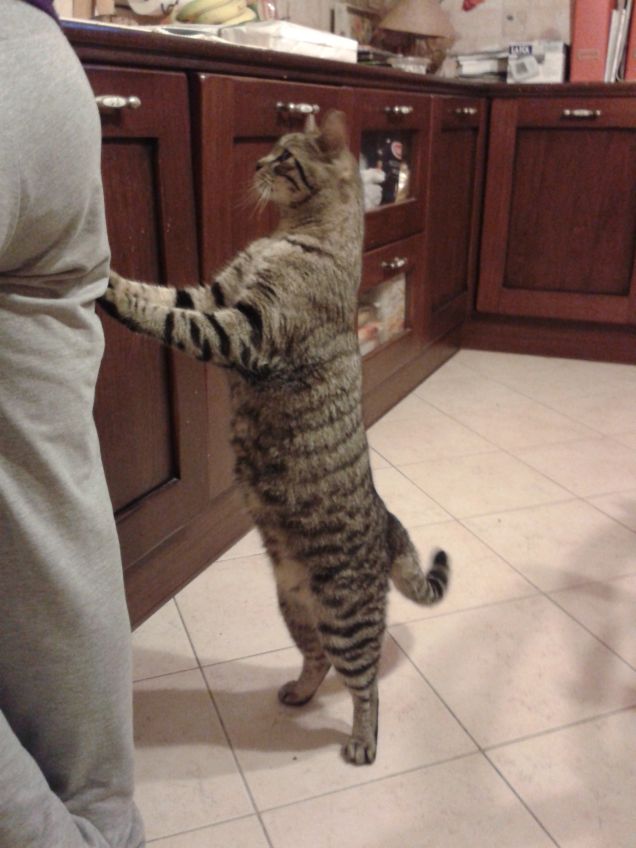 sento odore di spigola.....me ne dai un po'??!