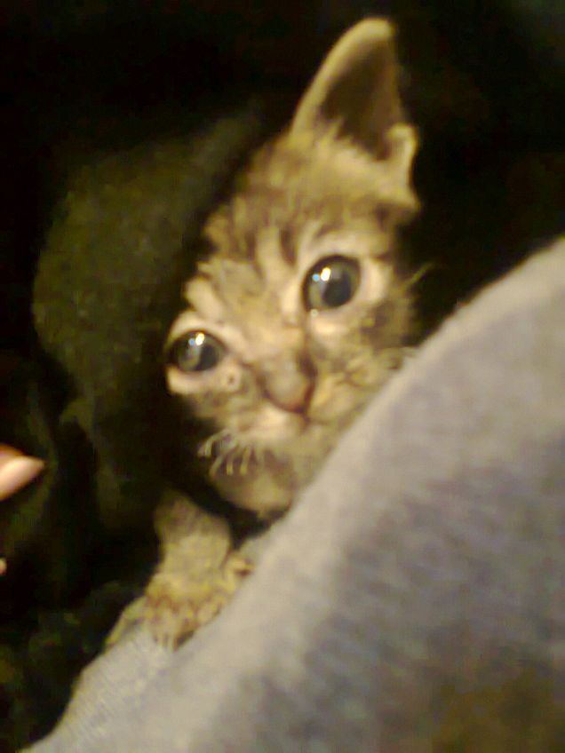 non è dolcissimo?!!!