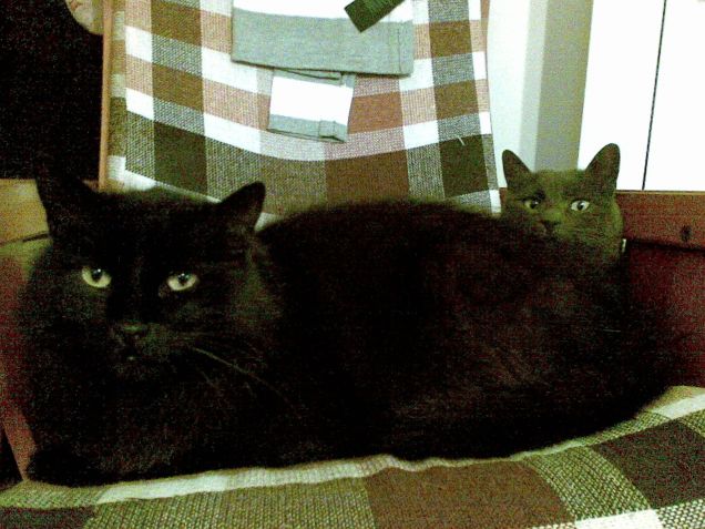 con rudy sulla poltrona...