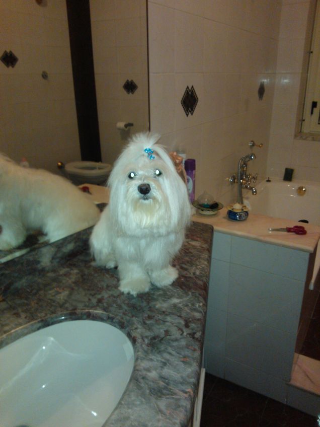 willi dopo la toilette